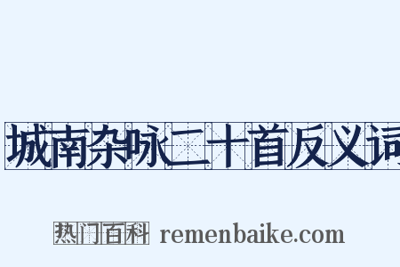 城南杂咏二十首反义词是什么意思的图片
